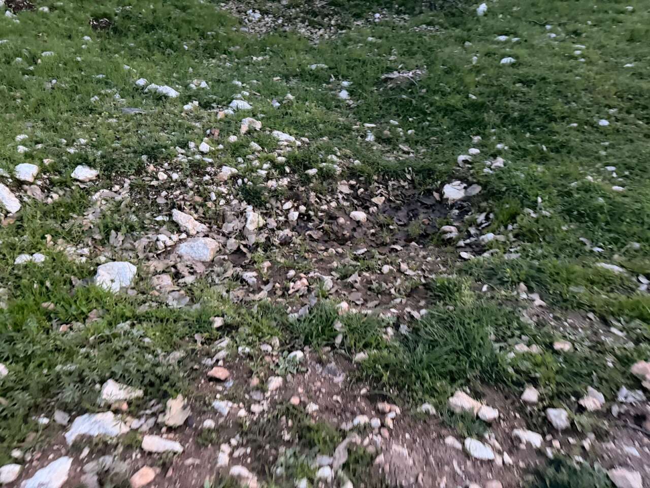 Gülistan Doku soruşturmasında 40 kilometrelik alanda mezar aranıyor 4